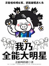 我乃全能大明星杨过