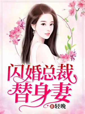 闪婚总裁替身妻