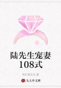 陆先生宠妻108式