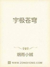 宇极苍穹