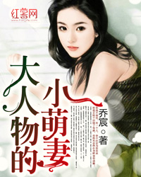 苏小落贺兰卓