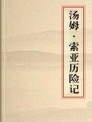 汤姆·索亚历险记