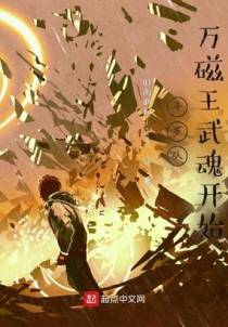 斗罗从万磁王武魂开始