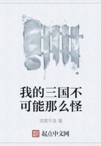 我的三国不可能那么怪