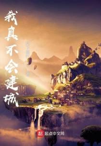 我真不会建城