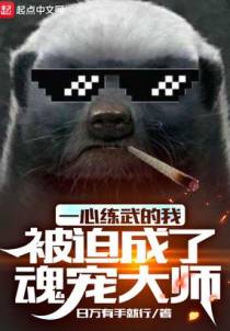 一心练武的我被迫成了魂宠大师