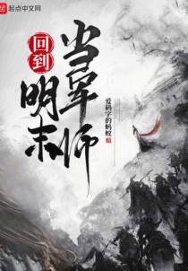 回到明末当军师