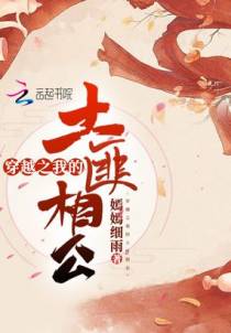 穿越之我的土匪相公