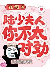 陆少夫人你不太对劲