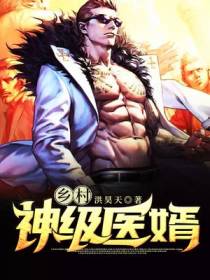 乡村神级医婿