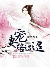 宠妻路迢迢