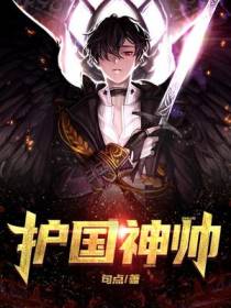 护国神帅