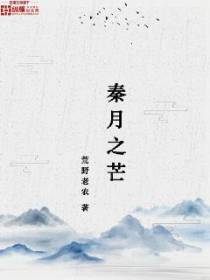 秦月之芒