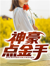 神豪点金手