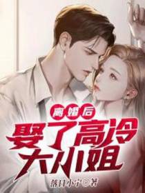 离婚后，娶了高冷大小姐