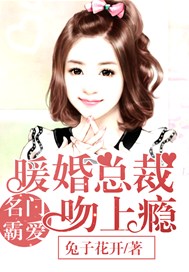 名门霸爱：暖婚总裁吻上瘾