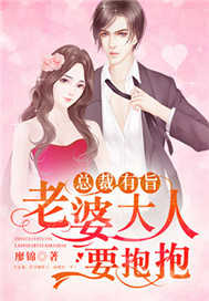 总裁有旨：老婆大人要抱抱
