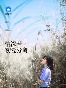 靳言霆夏洛洛