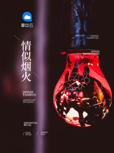 苏清语陆放