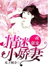 一夜强宠：情迷小娇妻