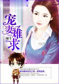 宠妻难求