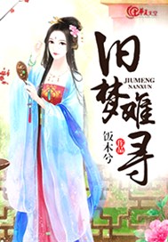 旧梦难寻