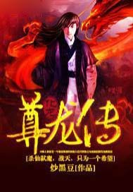 尊龙传
