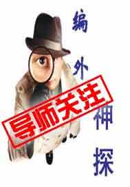 编外神探