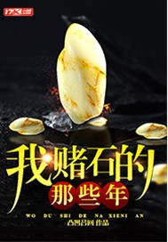 我赌石的那些年