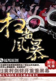 扫黄风暴