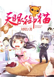 天眼御猫
