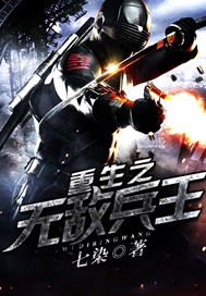 重生之无敌兵王