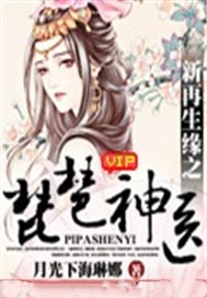 新再生缘之琵琶神医（全本）
