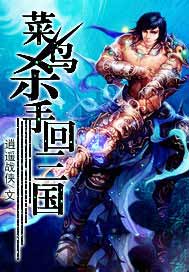 菜鸟杀手回三国