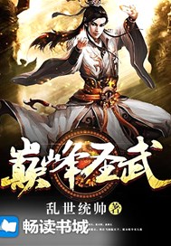 巅峰圣武