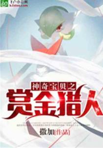 神奇宝贝之赏金猎人
