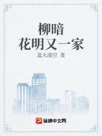 柳暗花明又一家
