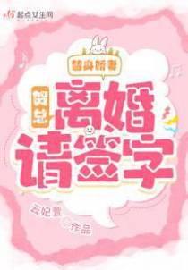 替身娇妻：贺总，离婚请签字