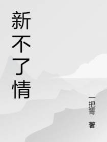 新不了情