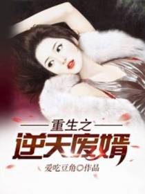 重生之逆天废婿
