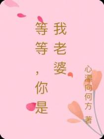 等等,你是我老婆