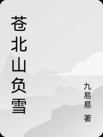 苍北山负雪