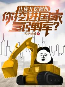 让你开挖掘机,你挖进国家氢弹库