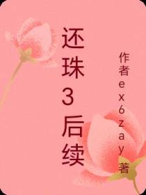 还珠3后续