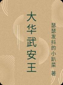 大华武安王
