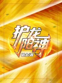 护龙阳神