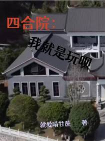 四合院：我就是玩呗