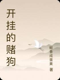 开挂的赌狗