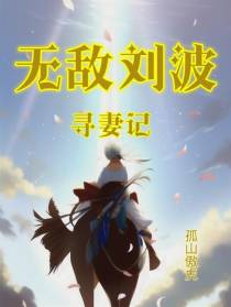 无敌刘波,寻妻记