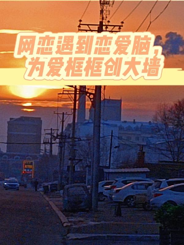 网恋遇到恋爱脑,为我框框创大墙